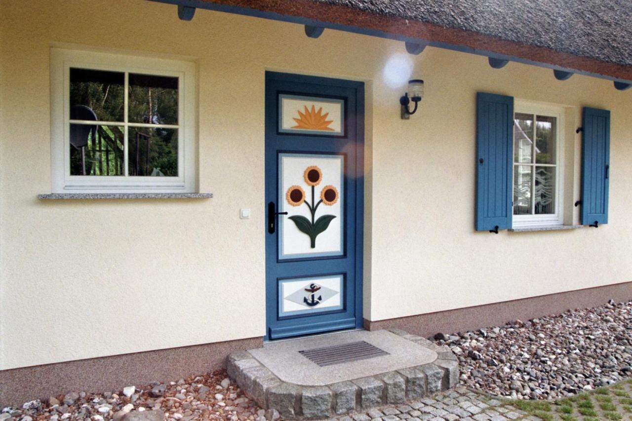 Ferienhaus Mine Sehnsucht Dierhagen Exterior foto